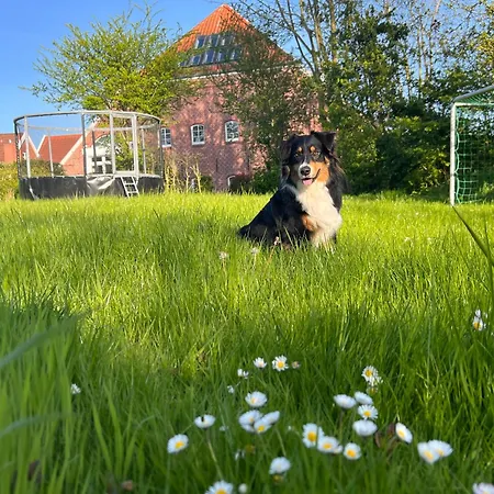 Milchkammer Krummhörn